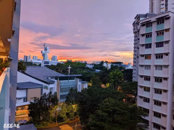 单间出租 • 蔡厝港 • 20 Dover Crescent • S$900 • 3房(2臥室) • 普通房 照片
