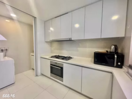整套出租 • 诺维娜 •  D'leedon • S$5800 • 住宅公寓 • 1012ft² / 94m² 照片