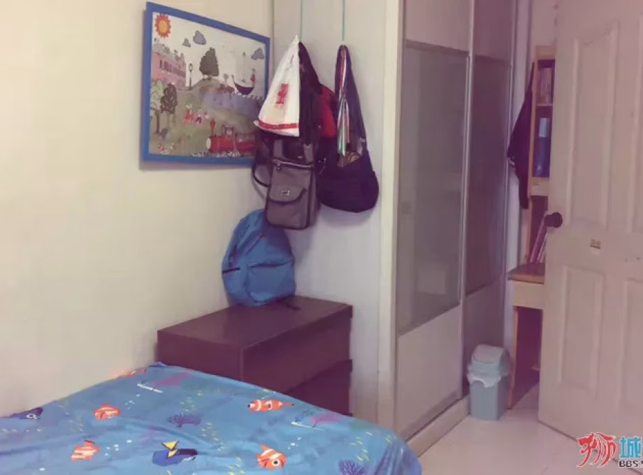 单间出租 • 林厝港 • 276A Jurong West Street 25 • S$800 • 3房(2臥室) • 普通房 照片