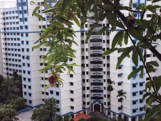 单间出租 • 林厝港 • 276A Jurong West Street 25 • S$800 • 3房(2臥室) • 普通房 照片