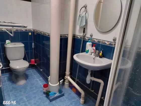 单间出租 • 林厝港 • 403 Jurong West Street 42 • S$900 • 执行组屋 • 普通房 照片