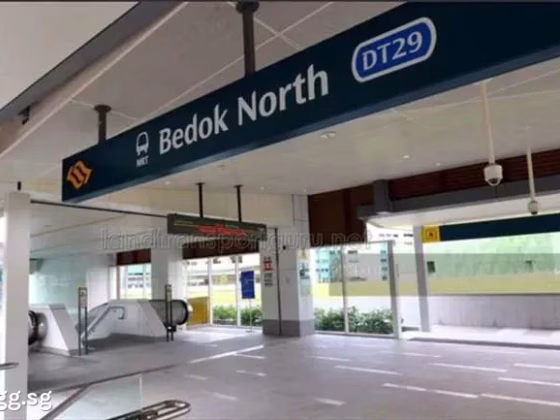 单间出租 • 武吉知马 • 139 Bedok Reservoir Road • S$800 • 4房(3臥室) • 普通房 照片