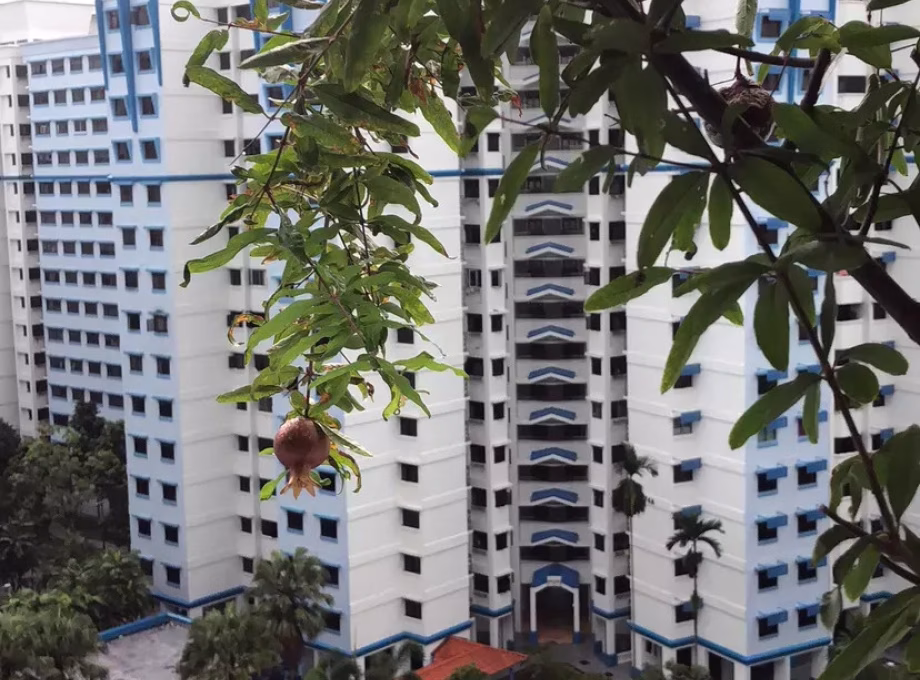 单间出租 • 林厝港 • 276A Jurong West Street 25 • S$800 • 3房(2臥室) • 普通房 照片