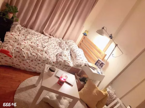 单间出租 • 中央集水区 •  Sunglade • S$1400 • 住宅公寓 • 普通房 照片
