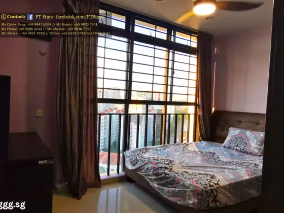 单间出租 • 纽顿 •  Balestier Point • S$1200 • 住宅公寓 • 普通房 照片