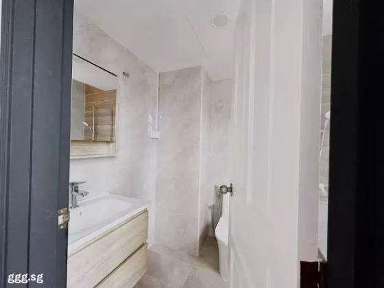 单间出租 • 纽顿 •  Ava Towers • S$2200 • 住宅公寓 • 主人房 照片