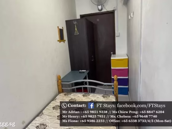 单间出租 • 博物馆 •  Textile Centre • S$950 • 住宅公寓 • 普通房 照片