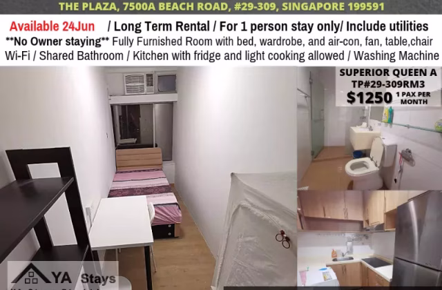 单间出租 • 淡滨尼 •  The Plaza • S$1250 • 住宅公寓 • 普通房