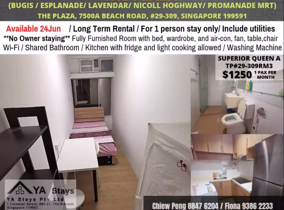 单间出租 • 淡滨尼 •  The Plaza • S$1250 • 住宅公寓 • 普通房 照片