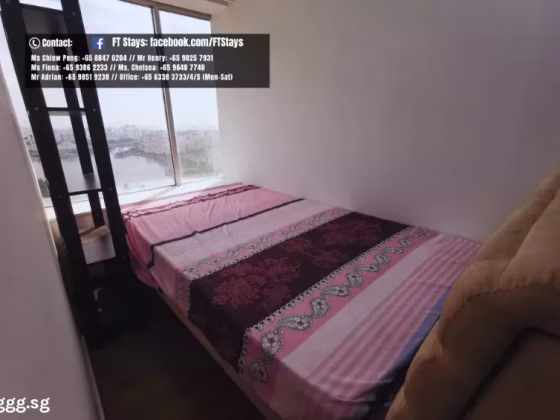 单间出租 • 淡滨尼 •  The Plaza • S$1250 • 住宅公寓 • 普通房 照片