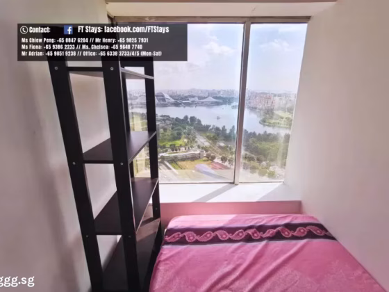 单间出租 • 淡滨尼 •  The Plaza • S$1250 • 住宅公寓 • 普通房 照片