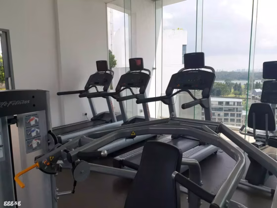 房屋出售 • 梧槽 •  Skies Miltonia • S$2750000 • 住宅公寓 • 2562ft² / 238m² 照片