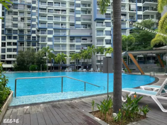 房屋出售 • 梧槽 •  Skies Miltonia • S$3750000 • 住宅公寓 • 4672ft² / 434m² 照片