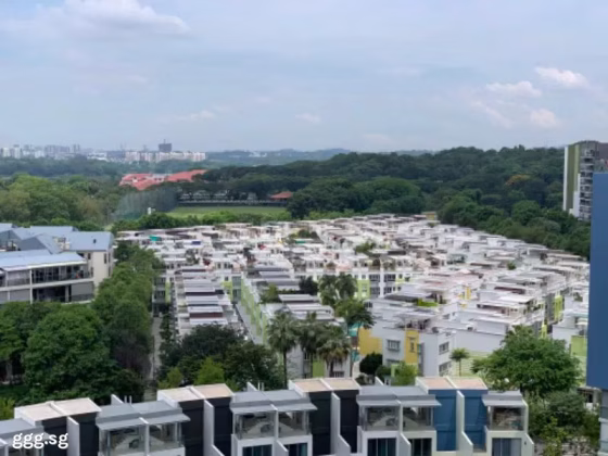 房屋出售 • 梧槽 •  Skies Miltonia • S$2750000 • 住宅公寓 • 2562ft² / 238m² 照片