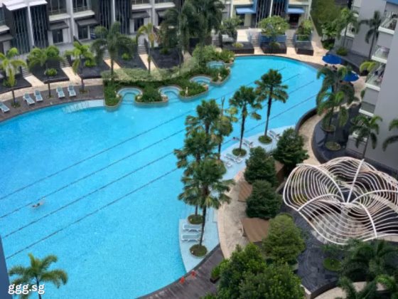房屋出售 • 梧槽 •  Skies Miltonia • S$2750000 • 住宅公寓 • 2562ft² / 238m² 照片
