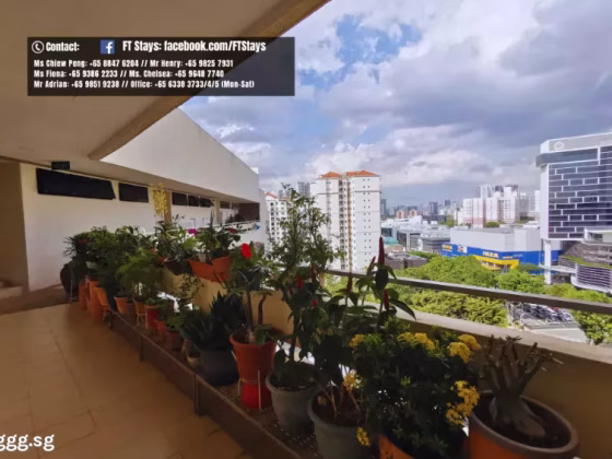 单间出租 • 蔡厝港 •  Queensway Tower • S$1350 • 住宅公寓 • 普通房 照片