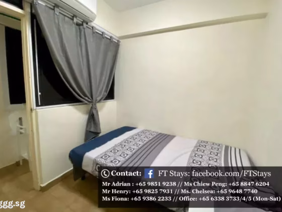 单间出租 • 武吉知马 •  Laguna Park • S$900 • 住宅公寓 • 普通房 照片