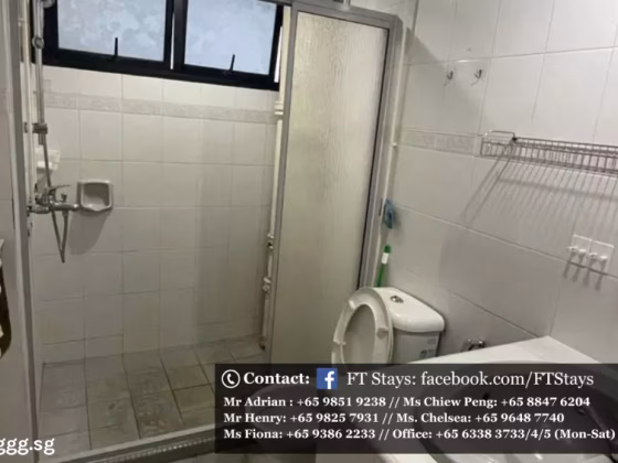 单间出租 • 武吉知马 •  Laguna Park • S$900 • 住宅公寓 • 普通房 照片