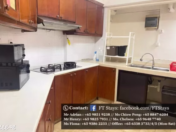 单间出租 • 武吉知马 •  Laguna Park • S$900 • 住宅公寓 • 普通房 照片