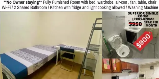 单间出租 • 勿洛 •  Laguna Park • S$900 • 住宅公寓 • 普通房