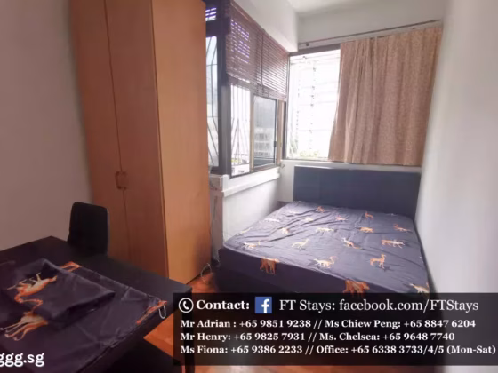 单间出租 • 纽顿 •  Balestier Plaza • S$1180 • 住宅公寓 • 普通房 照片