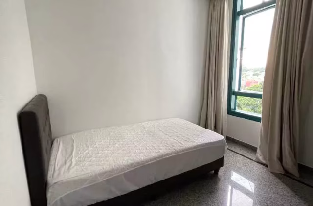 单间出租 • 兀兰 •  Bukit Timah Road • S$2900 • 住宅公寓 • 主人房