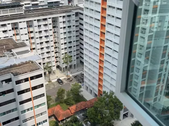单间出租 • 博物馆 • 113B Mcnair Road • S$1300 • 4房(3臥室) • 普通房 照片