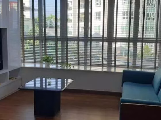 整套出租 • 市中心 •  Tresalveo • S$3500 • 共管公寓 • 603ft² / 56m² 照片