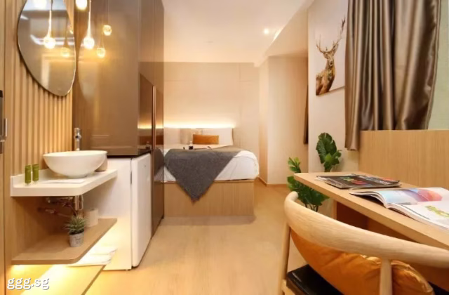 整套出租 • 淡滨尼 •  Duo Residences • S$2400 • 住宅公寓 • 527ft² / 48m²