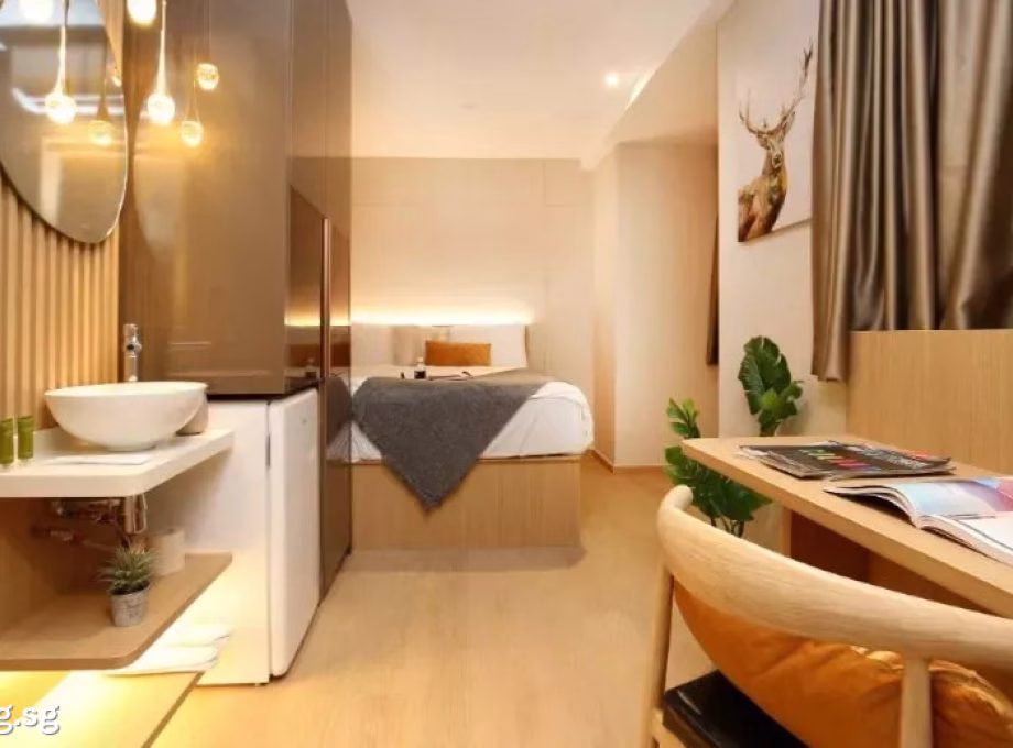 整套出租 • 淡滨尼 •  Duo Residences • S$2400 • 住宅公寓 • 527ft² / 48m² 照片