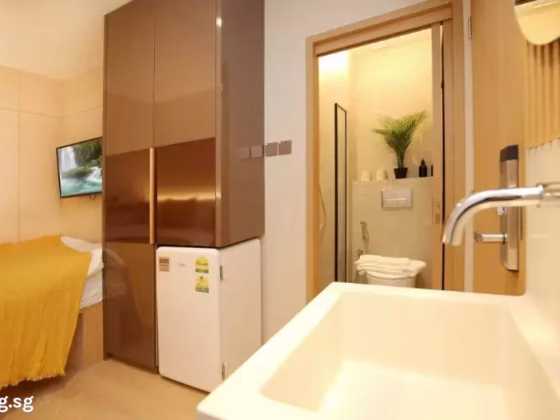 整套出租 • 淡滨尼 •  Duo Residences • S$2400 • 住宅公寓 • 527ft² / 48m² 照片