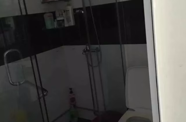 单间出租 • 林厝港 • 258 Boon Lay Drive • S$1100 • 4房(3臥室) • 普通房