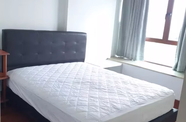 整套出租 • 武吉知马 •  D'oasia • S$3100 • 住宅公寓 • 570ft² / 52m²