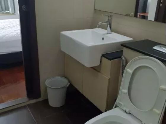 整套出租 • 武吉知马 •  D'oasia • S$3100 • 住宅公寓 • 570ft² / 52m² 照片