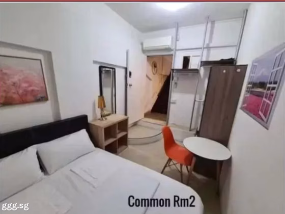 单间出租 • 樟宜湾 •  People's Park Complex • S$1450 • 住宅公寓 • 普通房 照片