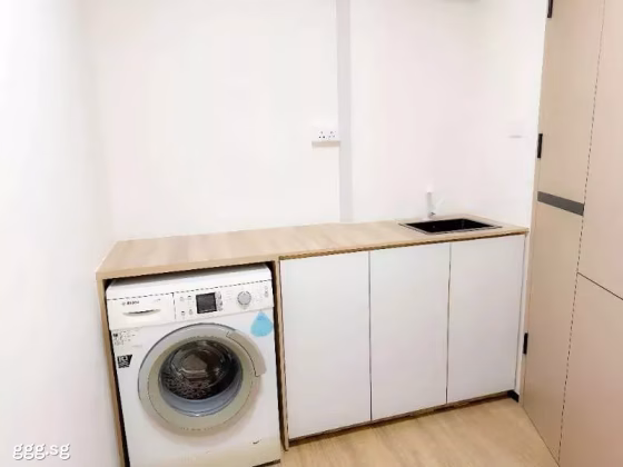 整套出租 • 武吉知马 •  Laguna Park • S$2500 • 住宅公寓 • 250ft² / 23m² 照片