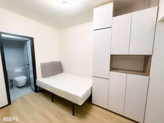整套出租 • 武吉知马 •  Laguna Park • S$2500 • 住宅公寓 • 250ft² / 23m² 照片