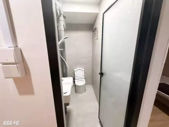 整套出租 • 武吉知马 •  Laguna Park • S$2500 • 住宅公寓 • 250ft² / 23m² 照片