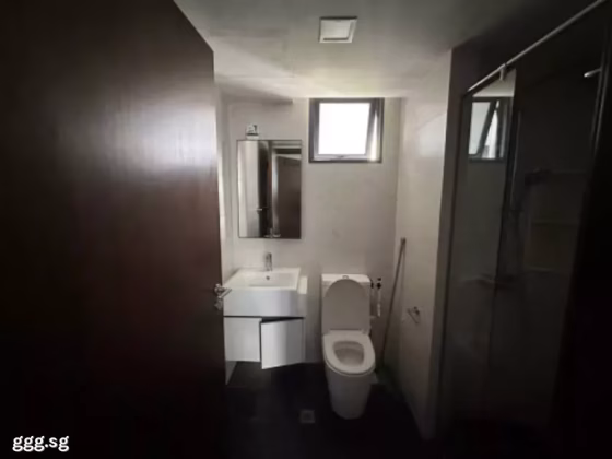 整套出租 • 梧槽 •  Symphony Suites • S$3500 • 住宅公寓 • 786ft² / 73m² 照片