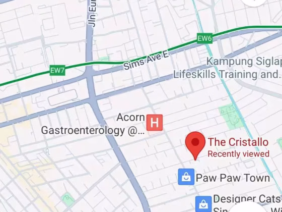 整套出租 • 武吉知马 •  The Cristallo • S$3000 • 住宅公寓 • 624ft² / 57m² 照片