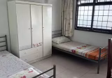 整套出租 • 三巴旺 • 603 Woodlands Drive 42 • S$3500 • 3房(2臥室) • 148ft² / 13m²