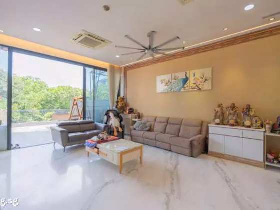 房屋出售 • 新邦 • PARKSTONE ROAD (437651) • S$8480000 • 双拼别墅 • 6300ft² / 585m² 照片