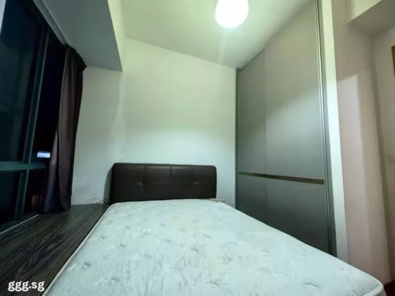 单间出租 • 宏茂桥 •  The Palette • S$1000 • 住宅公寓 • 普通房 照片