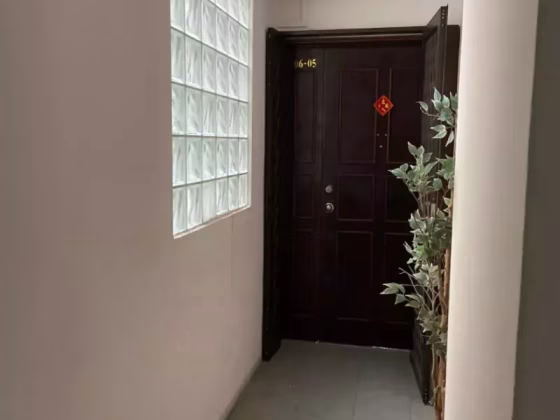 单间出租 • 欧南 •  Torieview Mansions • S$1200 • 住宅公寓 • 普通房 照片
