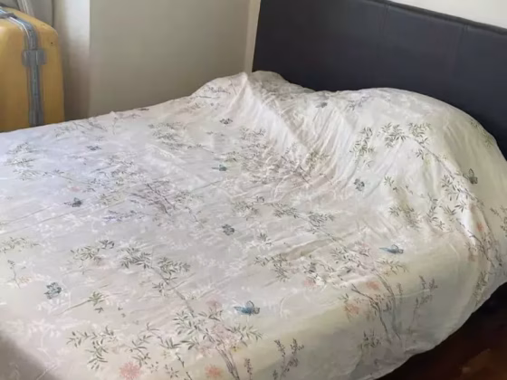 单间出租 • 欧南 •  Torieview Mansions • S$1200 • 住宅公寓 • 普通房 照片