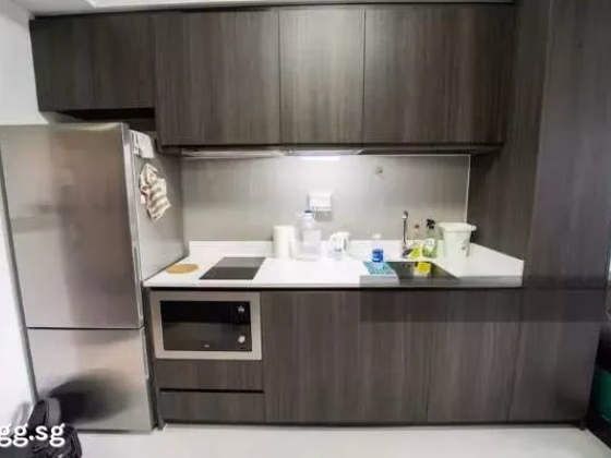 整套出租 • 梧槽 •  North Park Residences • S$2300 • 共管公寓 • 431ft² / 40m² 照片