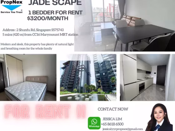 整套出租 • 市中心 •  Jadescape • S$3200 • 共管公寓 • 527ft² / 48m² 照片