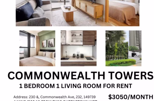 整套出租 • 蔡厝港 •  Commonwealth Towers • S$3050 • 共管公寓 • 474ft² / 44m²
