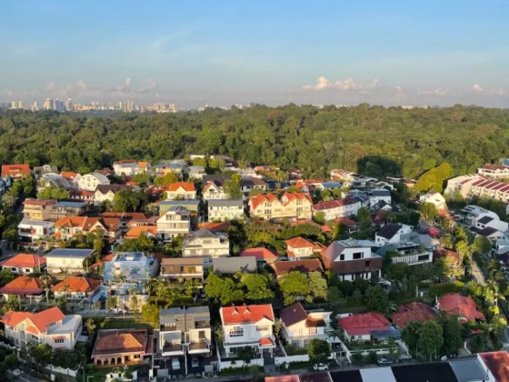 单间出租 • 市中心 •  Thomson View • S$1600 • 住宅公寓 • 主人房 照片