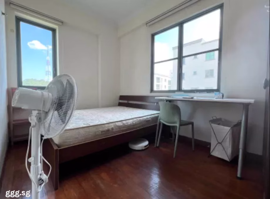 单间出租 • 红山 •  Springdale Condo • S$1200 • 共管公寓 • 普通房 照片